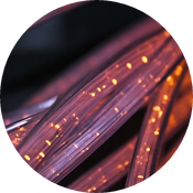 Close-up photo of fiberoptic cables.