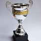Photo of silver cup-style trophy